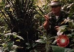 Image soldat américain Panama, 1969, de la seconde 61 séquences d'archives historiques vidéo 65675054579