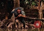 Standbild USA Soldat Panama, 1969, aus Sekunde 10 historischem Filmmaterial Videoclip 65675054580