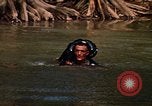 Standbild USA Soldat Panama, 1969, aus Sekunde 20 historischem Filmmaterial Videoclip 65675054580