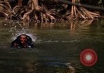 Standbild USA Soldat Panama, 1969, aus Sekunde 38 historischem Filmmaterial Videoclip 65675054580