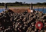Standbild USA Soldaten Panama, 1969, aus Sekunde 13 historischem Filmmaterial Videoclip 65675054584