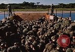 Standbild USA Soldaten Panama, 1969, aus Sekunde 15 historischem Filmmaterial Videoclip 65675054584