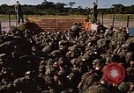Standbild USA Soldaten Panama, 1969, aus Sekunde 29 historischem Filmmaterial Videoclip 65675054584