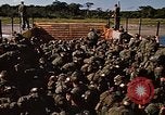 Standbild USA Soldaten Panama, 1969, aus Sekunde 30 historischem Filmmaterial Videoclip 65675054584
