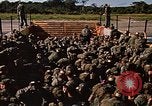 Standbild USA Soldaten Panama, 1969, aus Sekunde 36 historischem Filmmaterial Videoclip 65675054584
