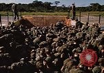 Standbild USA Soldaten Panama, 1969, aus Sekunde 38 historischem Filmmaterial Videoclip 65675054584