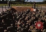 Standbild USA Soldaten Panama, 1969, aus Sekunde 46 historischem Filmmaterial Videoclip 65675054584