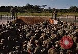 Standbild USA Soldaten Panama, 1969, aus Sekunde 47 historischem Filmmaterial Videoclip 65675054584