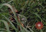 Standbild USA Soldaten Panama, 1969, aus Sekunde 10 historischem Filmmaterial Videoclip 65675054585