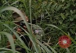 Standbild USA Soldaten Panama, 1969, aus Sekunde 11 historischem Filmmaterial Videoclip 65675054585