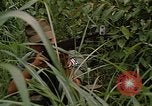 Standbild USA Soldaten Panama, 1969, aus Sekunde 12 historischem Filmmaterial Videoclip 65675054585