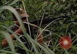 Standbild USA Soldaten Panama, 1969, aus Sekunde 13 historischem Filmmaterial Videoclip 65675054585