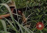 Standbild USA Soldaten Panama, 1969, aus Sekunde 15 historischem Filmmaterial Videoclip 65675054585