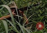 Standbild USA Soldaten Panama, 1969, aus Sekunde 18 historischem Filmmaterial Videoclip 65675054585
