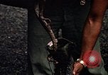 Immagine di Soldati statunitensi Panama, 1969, secondo 51 filmato di repertorio 65675054588