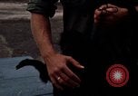 Standbild Affen Panama, 1969, aus Sekunde 11 historischem Filmmaterial Videoclip 65675054592