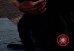 Standbild Affen Panama, 1969, aus Sekunde 16 historischem Filmmaterial Videoclip 65675054592