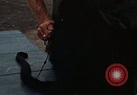 Standbild Affen Panama, 1969, aus Sekunde 30 historischem Filmmaterial Videoclip 65675054592