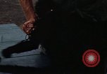 Standbild Affen Panama, 1969, aus Sekunde 31 historischem Filmmaterial Videoclip 65675054592