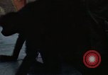 Standbild Affen Panama, 1969, aus Sekunde 36 historischem Filmmaterial Videoclip 65675054592