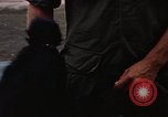 Standbild Affen Panama, 1969, aus Sekunde 62 historischem Filmmaterial Videoclip 65675054592