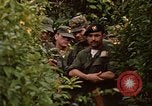 Image jungle pièges Fort Sherman Panama, 1969, de la seconde 3 séquences d'archives historiques vidéo 65675054607