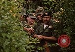 Image jungle pièges Fort Sherman Panama, 1969, de la seconde 4 séquences d'archives historiques vidéo 65675054607