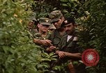 Image jungle pièges Fort Sherman Panama, 1969, de la seconde 5 séquences d'archives historiques vidéo 65675054607