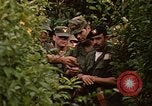Image jungle pièges Fort Sherman Panama, 1969, de la seconde 6 séquences d'archives historiques vidéo 65675054607