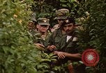 Image jungle pièges Fort Sherman Panama, 1969, de la seconde 8 séquences d'archives historiques vidéo 65675054607