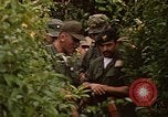 Image jungle pièges Fort Sherman Panama, 1969, de la seconde 9 séquences d'archives historiques vidéo 65675054607