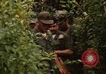 Image jungle pièges Fort Sherman Panama, 1969, de la seconde 10 séquences d'archives historiques vidéo 65675054607