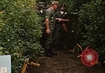 Image jungle pièges Fort Sherman Panama, 1969, de la seconde 16 séquences d'archives historiques vidéo 65675054607