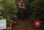 Image jungle pièges Fort Sherman Panama, 1969, de la seconde 17 séquences d'archives historiques vidéo 65675054607