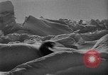 Standbild Richard Evelyn Byrd der Antarktis, 1928, aus Sekunde 59 historischem Filmmaterial Videoclip 65675054615