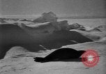 Standbild Richard Evelyn Byrd der Antarktis, 1928, aus Sekunde 62 historischem Filmmaterial Videoclip 65675054615
