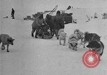 Image of Richard Evelyn Byrd Antarctica, 1928, second 50 stock footage video 65675054622