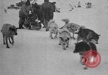 Image of Richard Evelyn Byrd Antarctica, 1928, second 51 stock footage video 65675054622