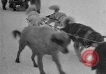 Image of Richard Evelyn Byrd Antarctica, 1928, second 53 stock footage video 65675054622