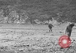 Image of Doctor Cramton Alaska USA, 1929, second 55 stock footage video 65675054636