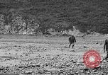 Image of Doctor Cramton Alaska USA, 1929, second 56 stock footage video 65675054636