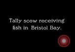 Immagine di Scow tally Bristol Bay Alaska USA, 1929, secondo 3 filmato di repertorio 65675054638