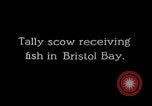 Immagine di Scow tally Bristol Bay Alaska USA, 1929, secondo 4 filmato di repertorio 65675054638