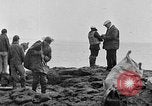 Image of Doctor Cramton Alaska USA, 1929, second 55 stock footage video 65675054640