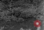 Image of lake Alaska USA, 1929, second 1 stock footage video 65675054666