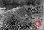 Image of lake Alaska USA, 1929, second 4 stock footage video 65675054666