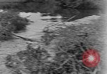 Image of lake Alaska USA, 1929, second 5 stock footage video 65675054666