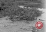 Image of lake Alaska USA, 1929, second 6 stock footage video 65675054666
