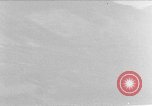 Image of Fox fur farm Alaska USA, 1929, second 1 stock footage video 65675054667