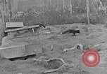 Image of Fox fur farm Alaska USA, 1929, second 3 stock footage video 65675054667